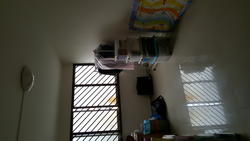 Blk 204 Petir Road (Bukit Panjang), HDB 4 Rooms #99532382
